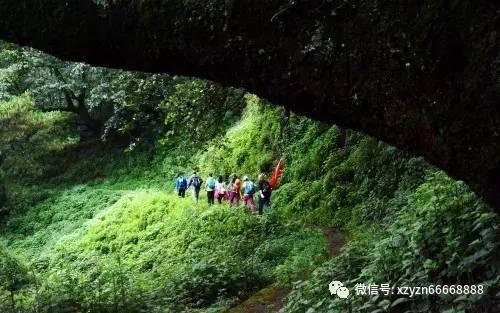 森林之神萨梯